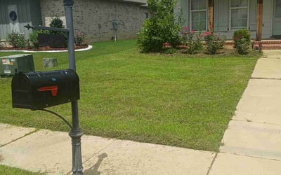 Photo of Nia H.'s yard after getting lawn care in Brandon, MS