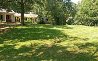 Photo of Barbara S.'s yard after getting lawn care in Jackson, MS