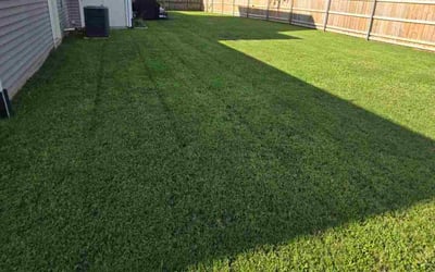 Photo of Tom C.'s yard after getting lawn care in Peoria, IL