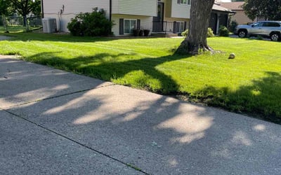 Photo of Mary Susan R.'s yard after getting lawn care in Buffalo, MN