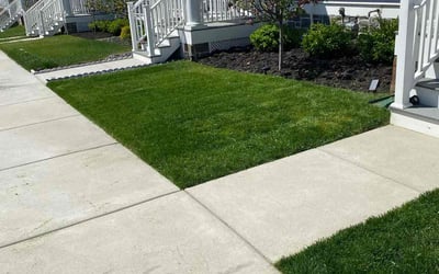 Photo of Krishna R.'s yard after getting lawn care in Middletown, DE