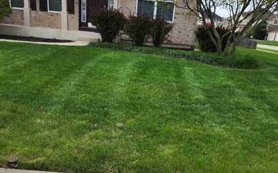 Photo of Sue F.'s yard after getting lawn care in Oswego, IL