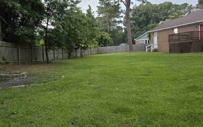 Photo of Lana F.'s yard after getting lawn care in Liberty, TX