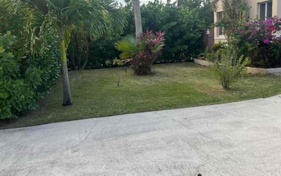 Photo of Anastasia H.'s yard after getting lawn care in Hollywood, FL