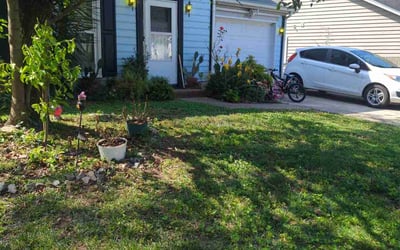 Photo of Rosie S.'s yard after getting lawn care in Plymouth, MI