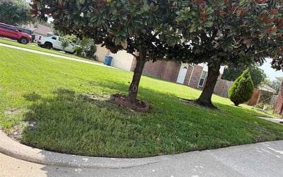 Photo of Lloyd A.'s yard after getting lawn care in Willow Grove, PA