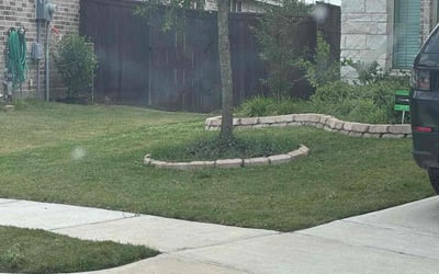 Photo of Darrell K.'s yard after getting lawn care in Dunedin, FL
