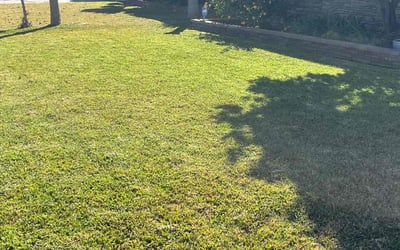 Photo of Morgan E.'s yard after getting lawn care in Downey, CA