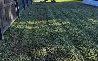 Photo of Michael G.'s yard after getting lawn care in Rockland, MA