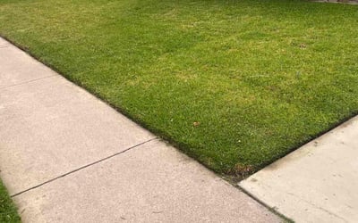 Photo of Jessica W.'s yard after getting lawn care in Norwalk, CA