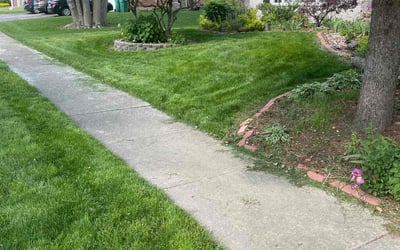 Photo of Kathy J.'s yard after getting lawn care in Orland Park, IL