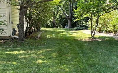 Photo of Monique S.'s yard after getting lawn care in Gurnee, IL