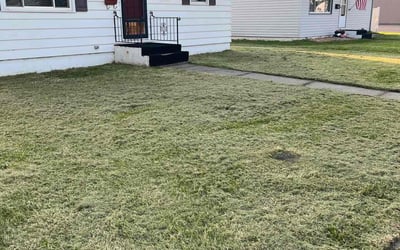 Photo of Cyndi C.'s yard after getting lawn care in Superior, WI