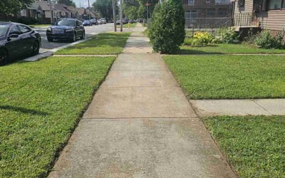 Photo of NOSLEN A.'s yard after getting lawn care in East Chicago, IN