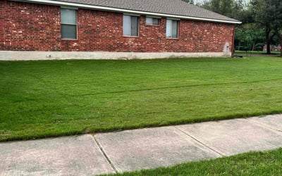 Photo of Jazmin L.'s yard after getting lawn care in Killeen, TX