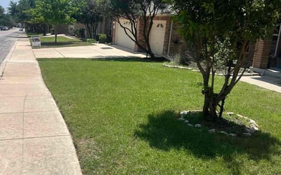 Photo of Brianna B.'s yard after getting lawn care in Clemmons, NC