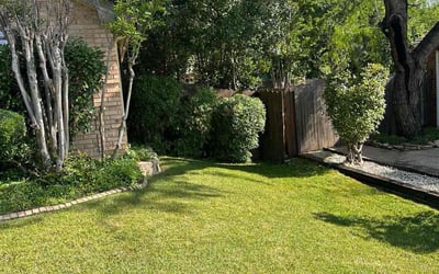 Photo of Mary C.'s yard after getting lawn care in Bryan, TX