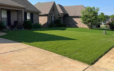 Photo of James K.'s yard after getting lawn care in Byhalia, MS