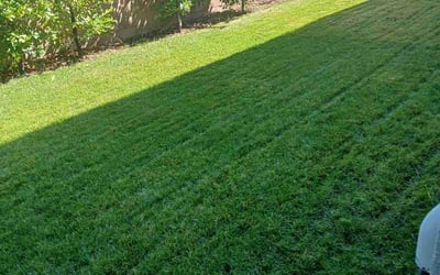 Photo of Joerg C.'s yard after getting lawn care in Joshua Tree, CA