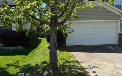 Photo of David W.'s yard after getting lawn care in Charlotte, NC