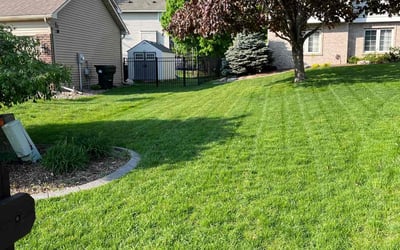 Photo of Fakarudin M.'s yard after getting lawn care in Lakeville, MN