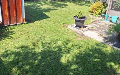 Photo of Anthony F.'s yard after getting lawn care in Orange Park, FL