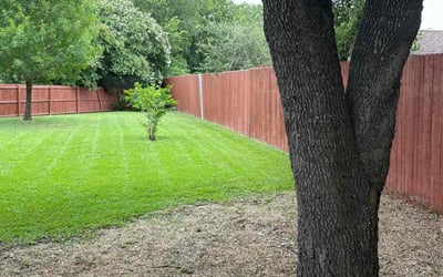 Photo of Lisa H.'s yard after getting lawn care in Asheville, NC