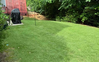 Photo of Elisabeth A.'s yard after getting lawn care in Hiram, GA