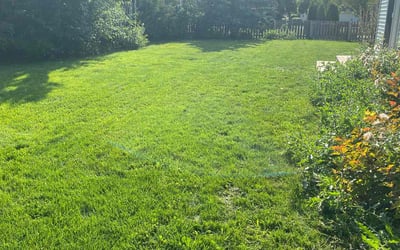 Photo of Robert Z.'s yard after getting lawn care in Kaukauna, WI