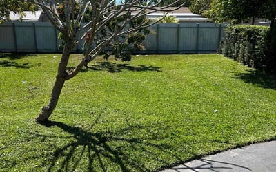 Photo of Ramona T.'s yard after getting lawn care in Miami Gardens, FL
