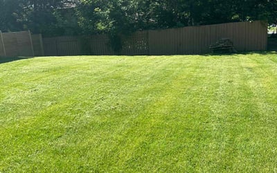 Photo of John S.'s yard after getting lawn care in Brick, NJ