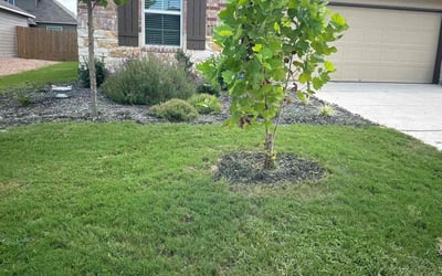 Photo of Anthony C.'s yard after getting lawn care in New Braunfels, TX