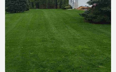 Photo of James M.'s yard after getting lawn care in Rockford, MI
