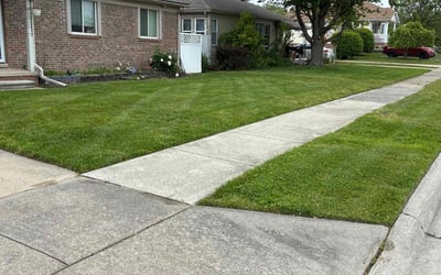 Photo of Tiffany K.'s yard after getting lawn care in Dearborn Heights, MI