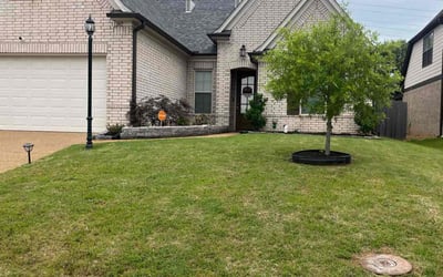 Photo of Tiffany W.'s yard after getting lawn care in Cordova, TN