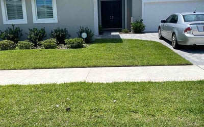 Photo of Chris J.'s yard after getting lawn care in Leander, TX