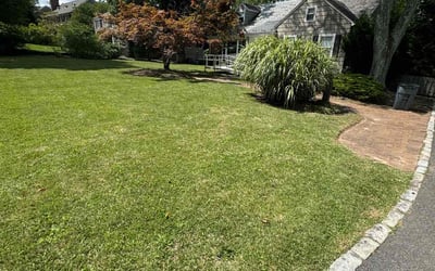 Photo of Julie D.'s yard after getting lawn care in Livingston, NJ