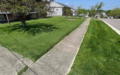 Photo of Minerva V.'s yard after getting lawn care in Fairfield, OH