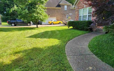 Photo of AMY S.'s yard after getting lawn care in Mount Pleasant, TN