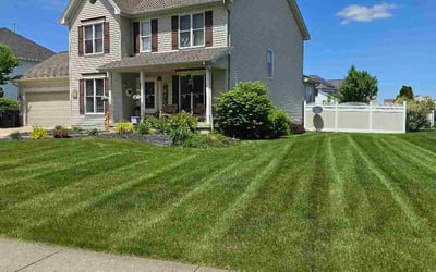 Photo of Dylan M.'s yard after getting lawn care in Austin, TX