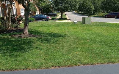 Photo of Jennifer P.'s yard after getting lawn care in Leesburg, VA