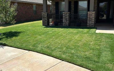 Photo of Pam C.'s yard after getting lawn care in Lubbock, TX