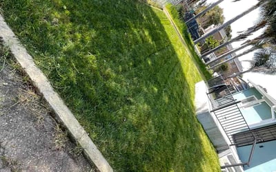 Photo of Joseph B.'s yard after getting lawn care in Los Altos, CA