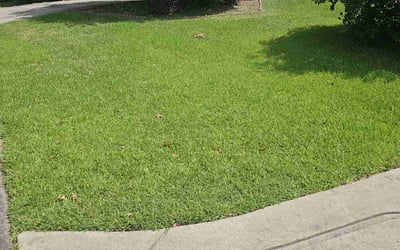 Photo of Dee D.'s yard after getting lawn care in Matthews, NC