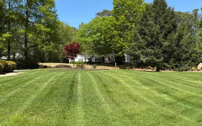 Photo of Esther N.'s yard after getting lawn care in Roswell, GA