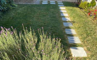 Photo of Diane G.'s yard after getting lawn care in Los Angeles, CA