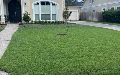 Photo of Jerry S.'s yard after getting lawn care in Little River, SC