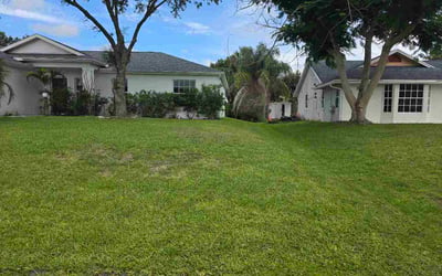 Photo of Tyer H.'s yard after getting lawn care in Spanaway, WA
