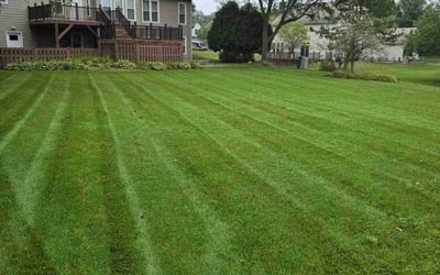 Photo of Debra B.'s yard after getting lawn care in Hoffman Estates, IL