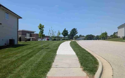 Photo of Tracy M.'s yard after getting lawn care in Westland, MI